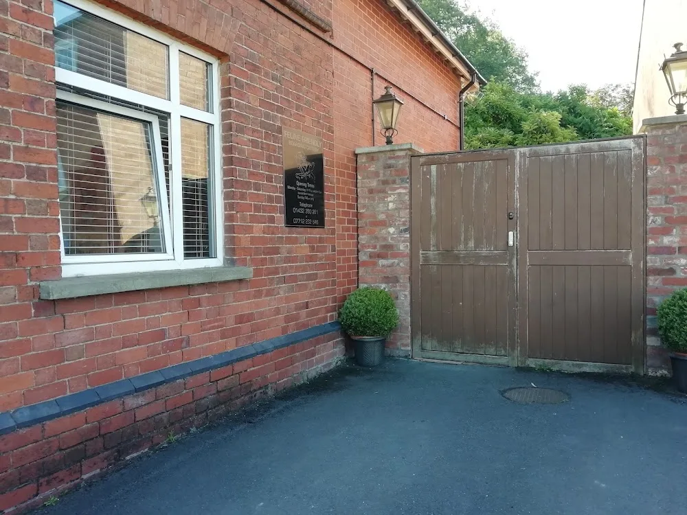 Feline Friendly - Herefordshire pet otel görseli 3