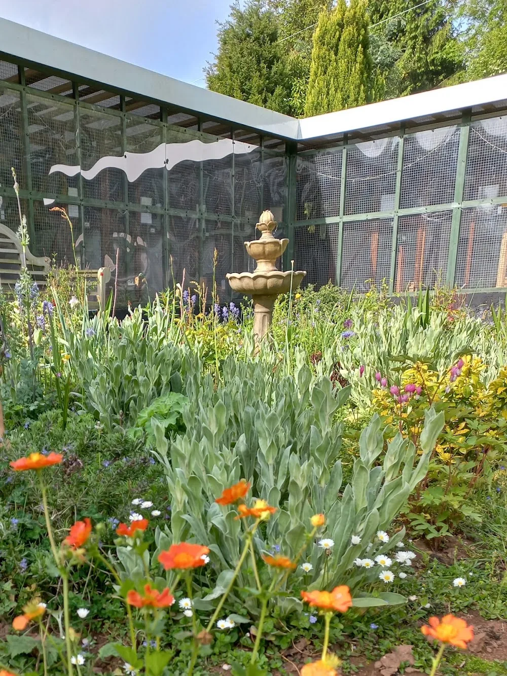 Grove Cottage Cattery, Sellack, Ross-On-Wye. - Herefordshire pet otel görseli 3