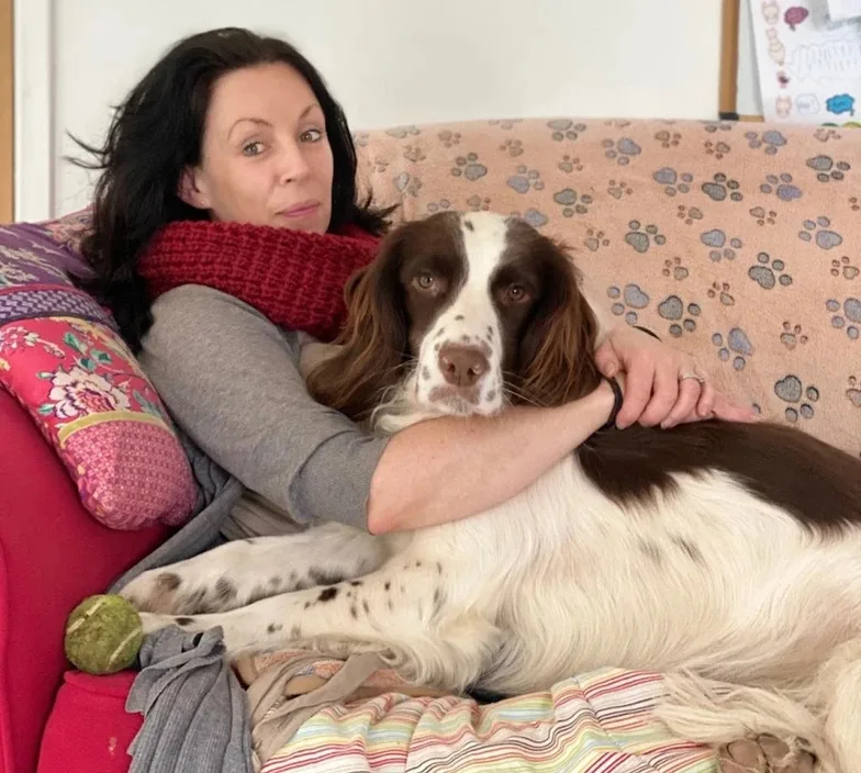 Hounds on Holidays - Dog Home Boarding - Luxury Alternative To Kennels - Herefordshire pet otel görseli 3