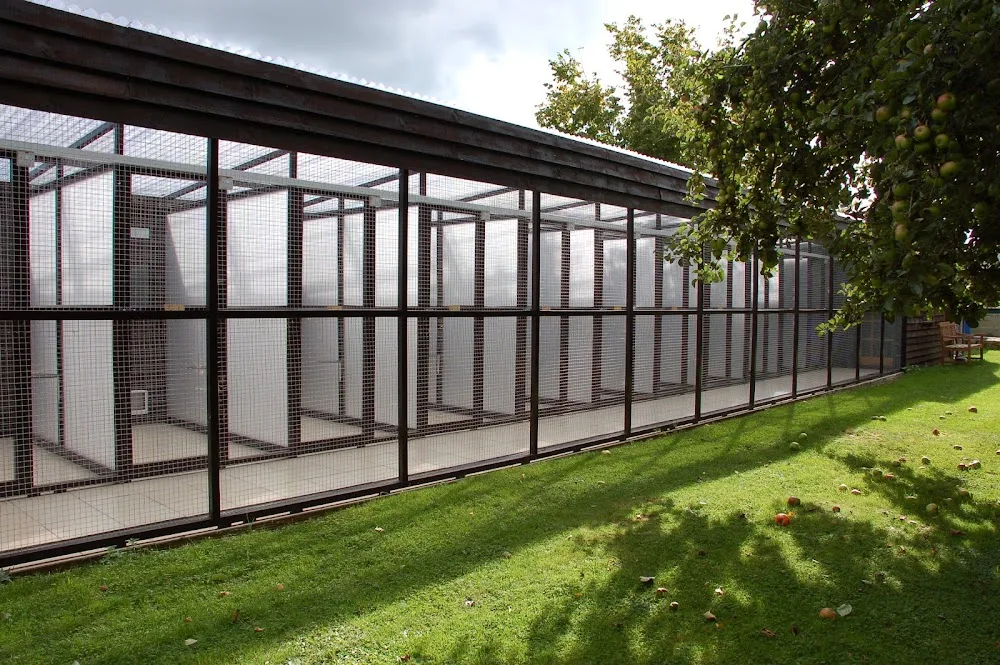 Kinnersley Cattery - Herefordshire pet otel