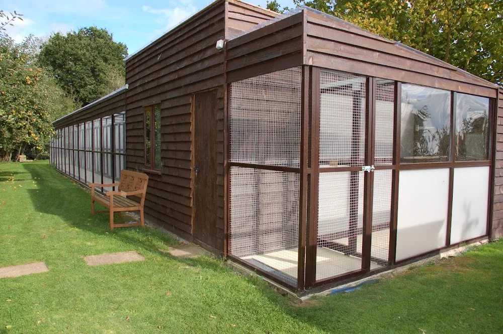 Kinnersley Cattery - Herefordshire pet otel görseli 3