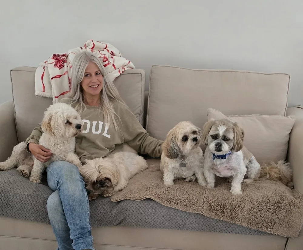 Little Doggy Holidays Dog Home Boarding - Herefordshire pet otel görseli 2