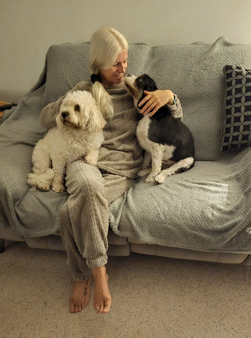 Little Doggy Holidays Dog Home Boarding - Herefordshire pet otel görseli 3