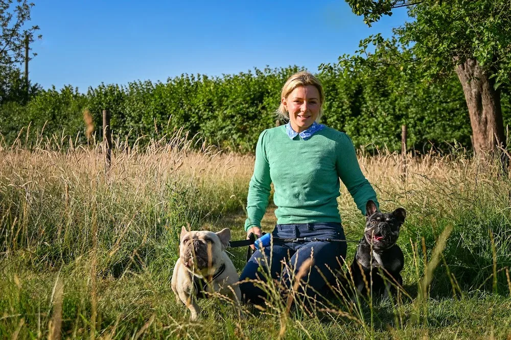 Picklesandco Luxury Dog Boarding - Herefordshire pet otel