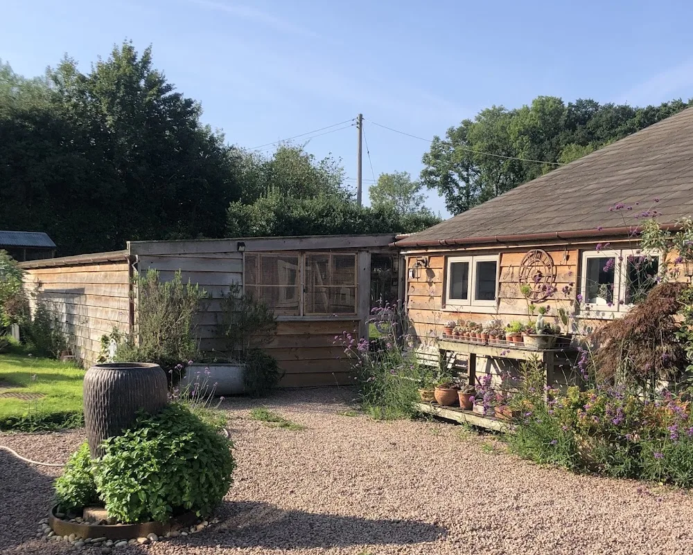 PussyCat Cattery - Herefordshire pet otel