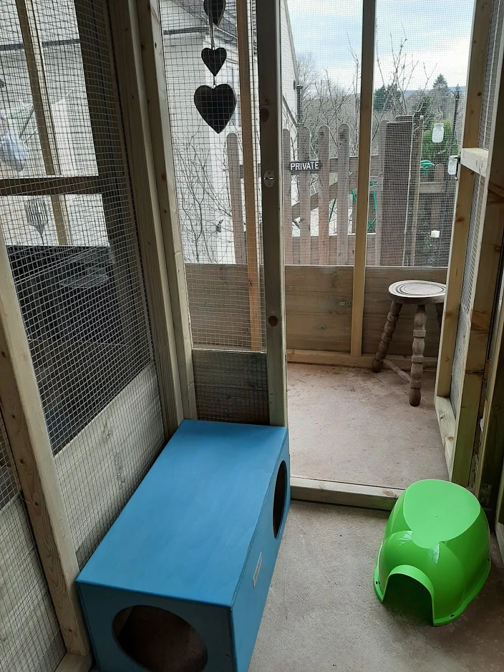 Woodside Luxury Cattery - Herefordshire pet otel görseli 3
