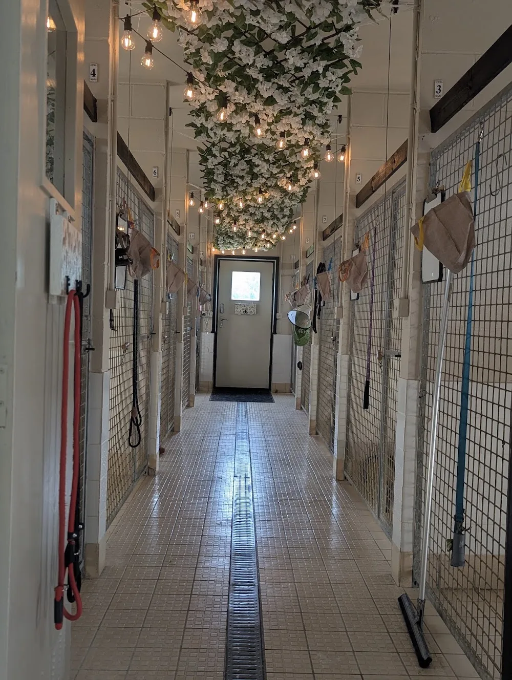 Crabbs Green Farm boarding kennels - Hertfordshire pet otel görseli 3