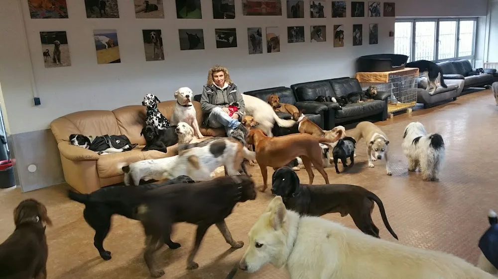 Doggyhouse - Hessen pet otel