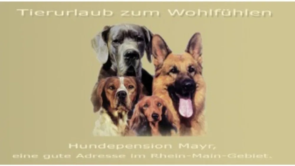 Hundepension Mayr - Hessen pet otel