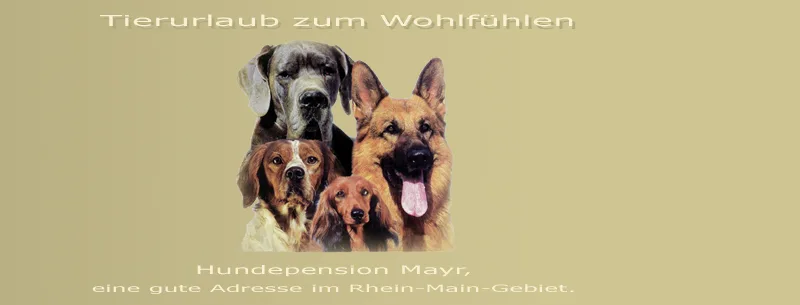 Hundepension Mayr - Hessen pet otel görseli 3