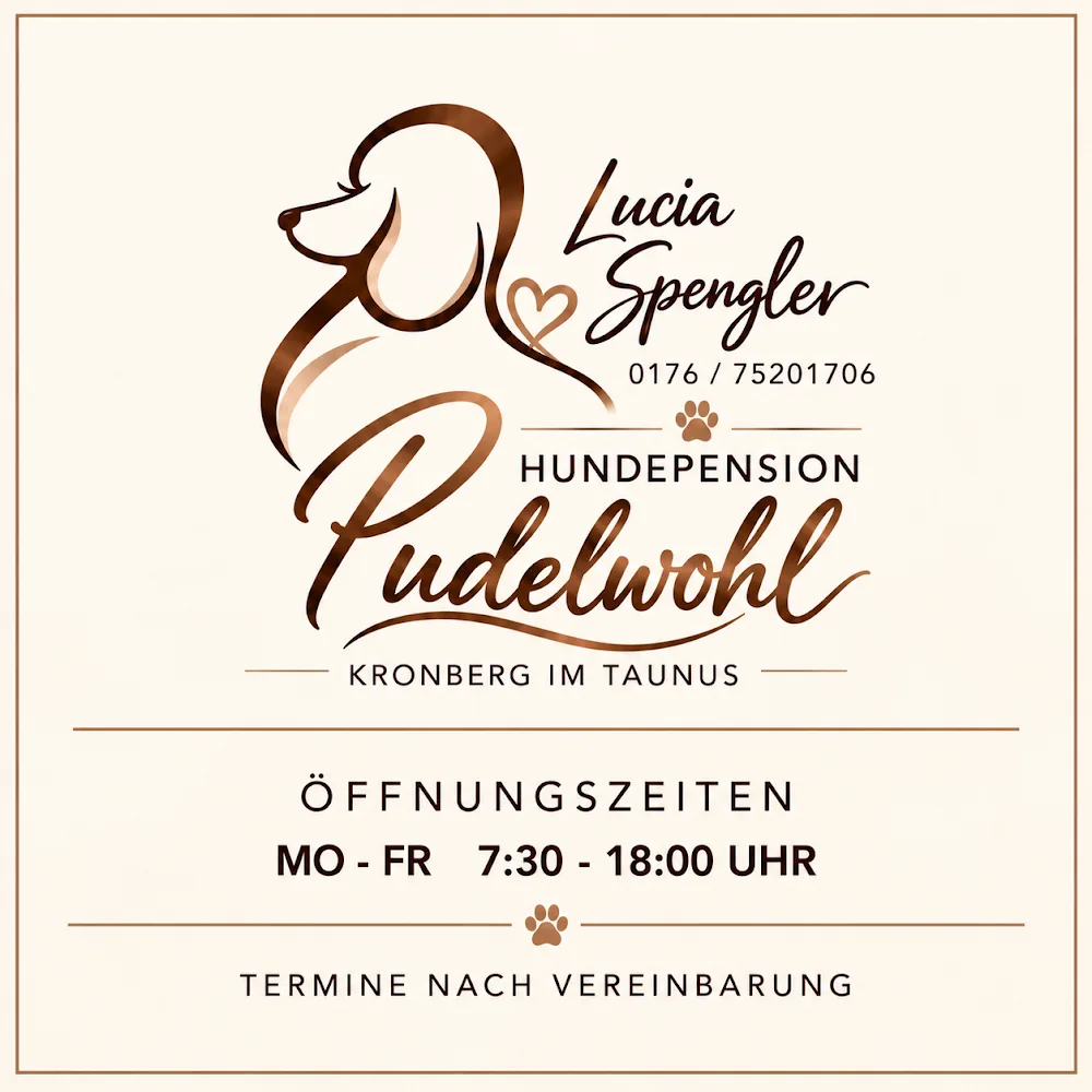 Hundepension pudelwohl Kronberg im Taunus - Hessen pet otel