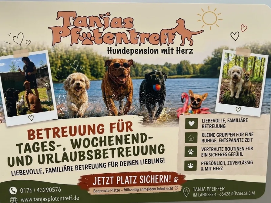 Hundepension Tanjas Pfotentreff - Hessen pet otel