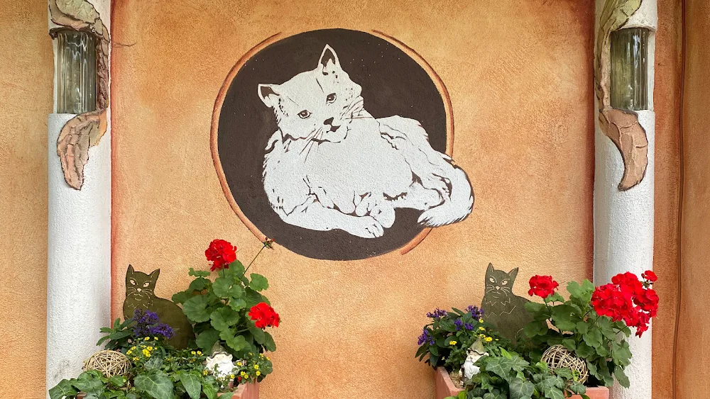 Katzenpension am Hofacker - Hessen pet otel