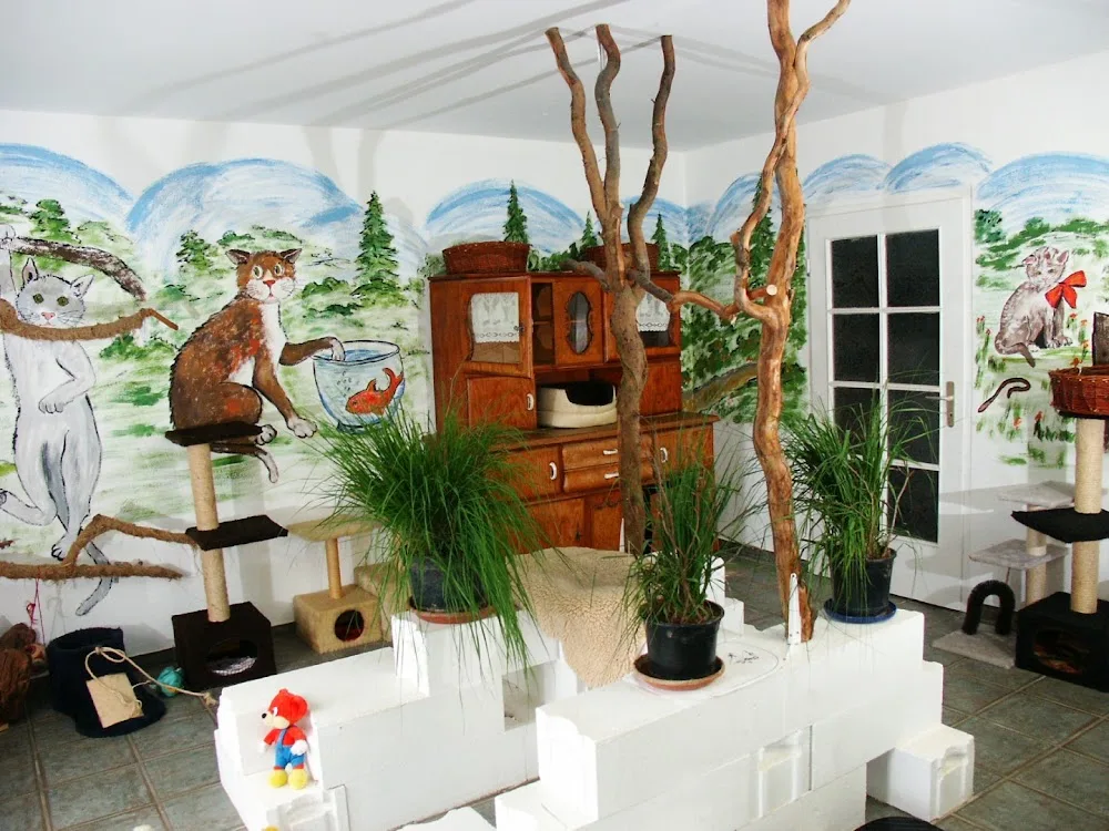 Katzenpension am Hofacker - Hessen pet otel görseli 3