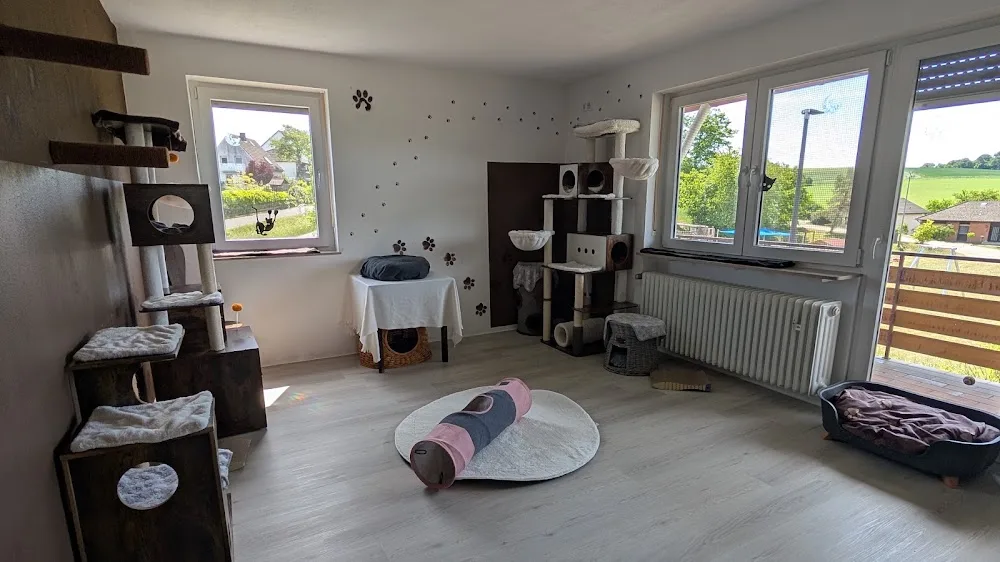 Katzenpension Grinsekatze - Hessen pet otel görseli 7