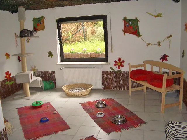 Katzenpension Stubentiger - Hessen pet otel görseli 15