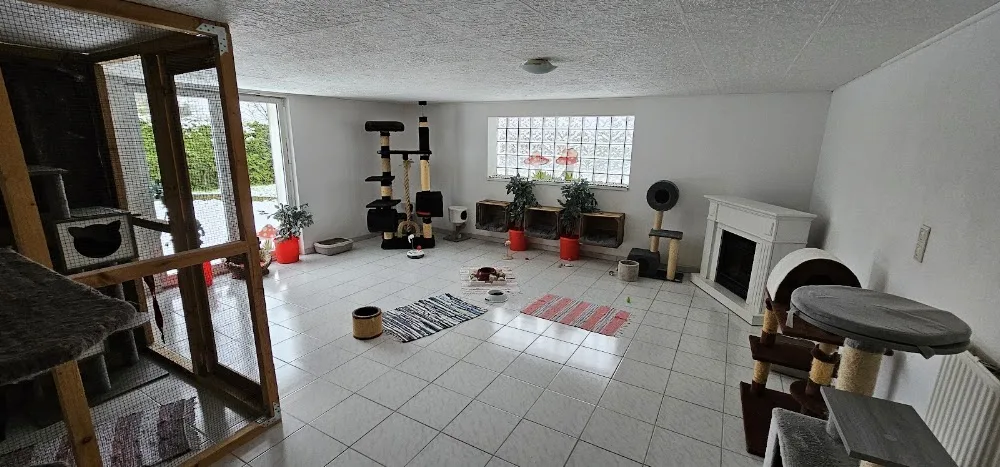 Katzenpension Stubentiger - Hessen pet otel görseli 10