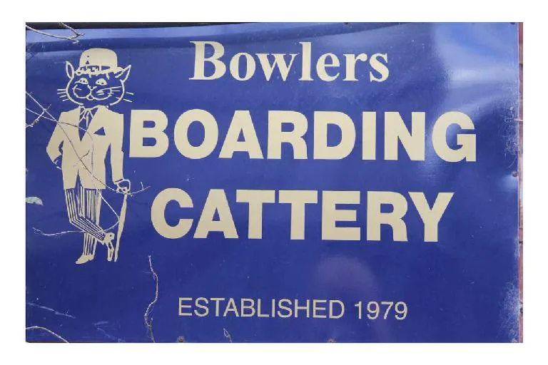 Bowlers Boarding Cattery - High Peak pet otel görseli 2