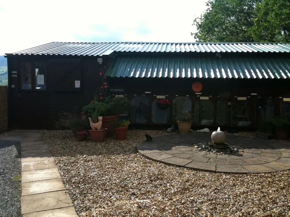 Brookdale Cattery - High Peak pet otel
