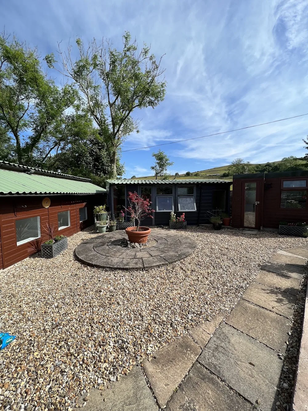 Brookdale Cattery - High Peak pet otel görseli 3