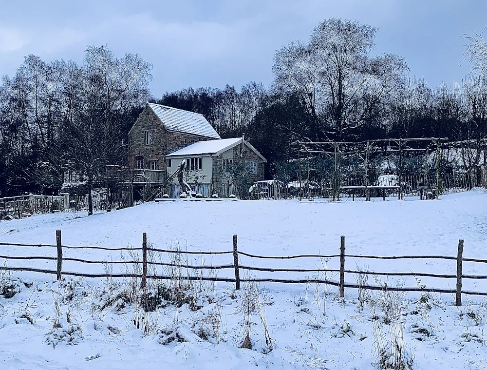 WhitehouseWalkies Home Boarding for dogs - High Peak pet otel