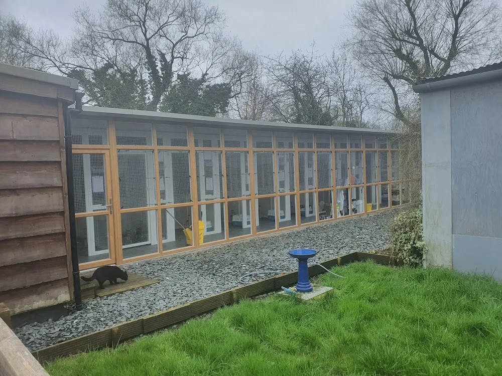 Goulds Green Cattery - Hillingdon pet otel