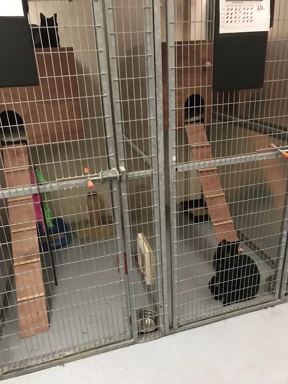 Heathrow Boarding Kennels and Cattery - Hillingdon pet otel görseli 2