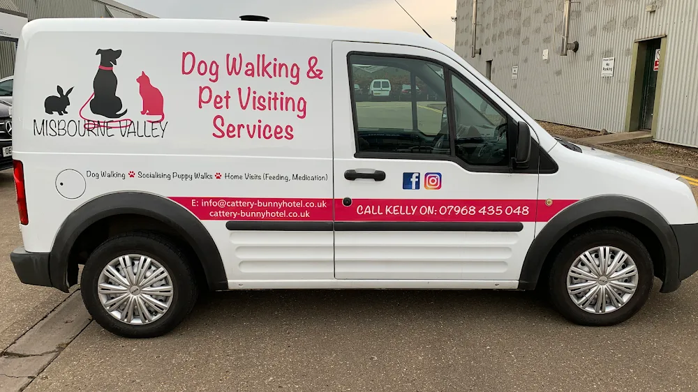 Misbourne Valley Cattery, Kennels & Bunny Hotel - Hillingdon pet otel