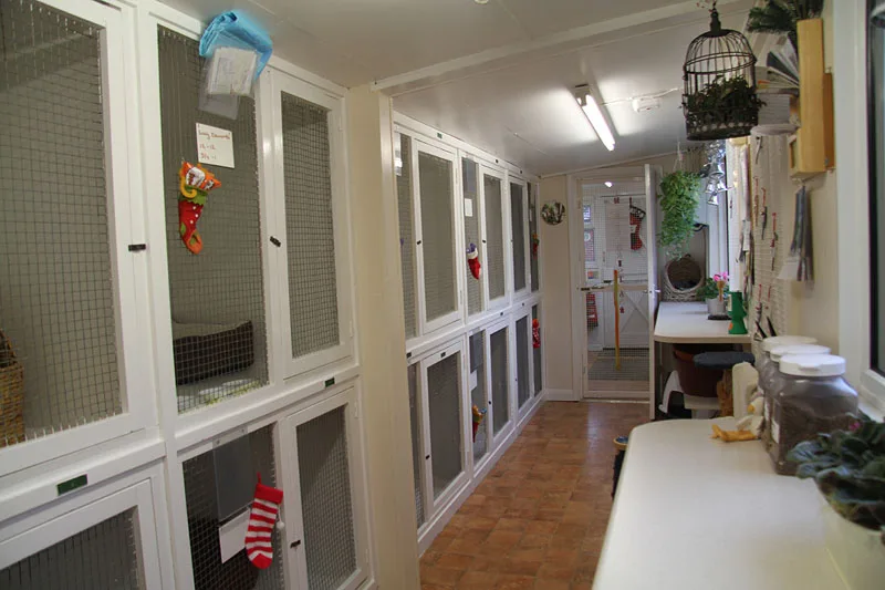 Paws Boarding Cattery - Hillingdon pet otel görseli 3