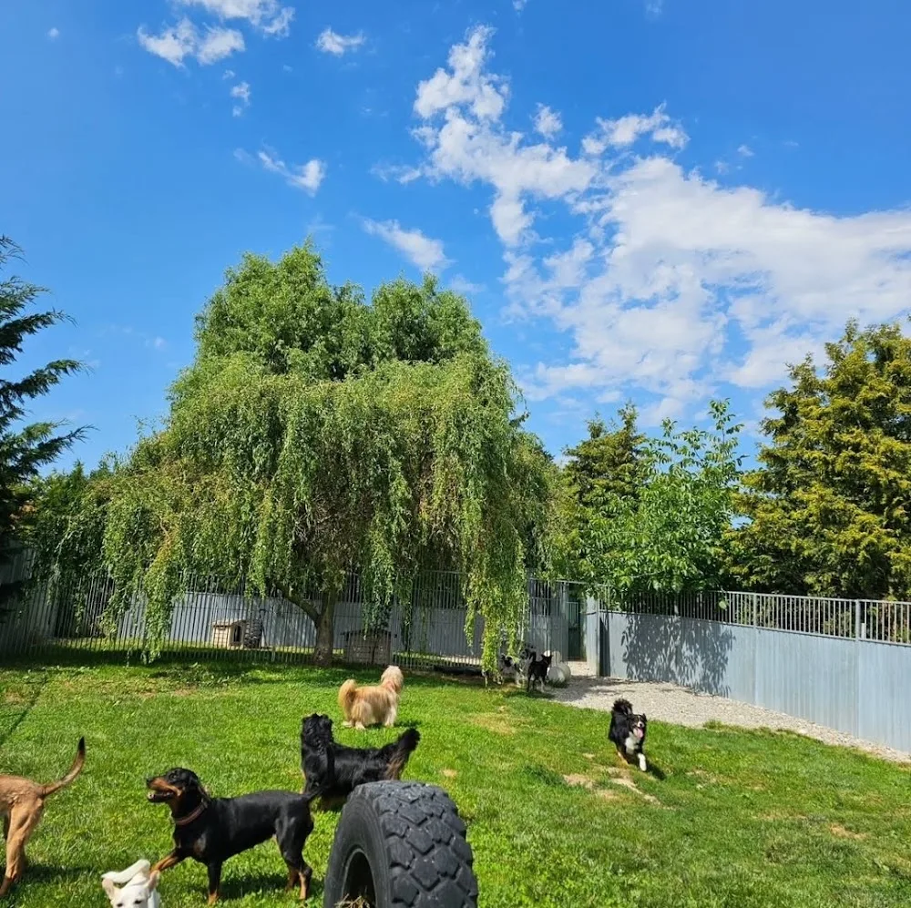 Animaland - Hinterfultigen pet otel