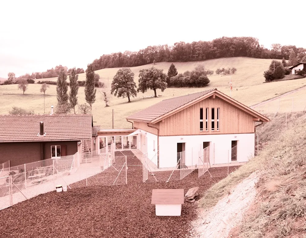 Pfotenhof.ch - Hinterfultigen pet otel