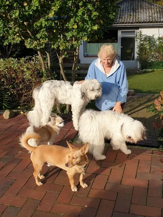 Das Hotel mit Herz für den kleinen Hund - Hohenfelde pet otel