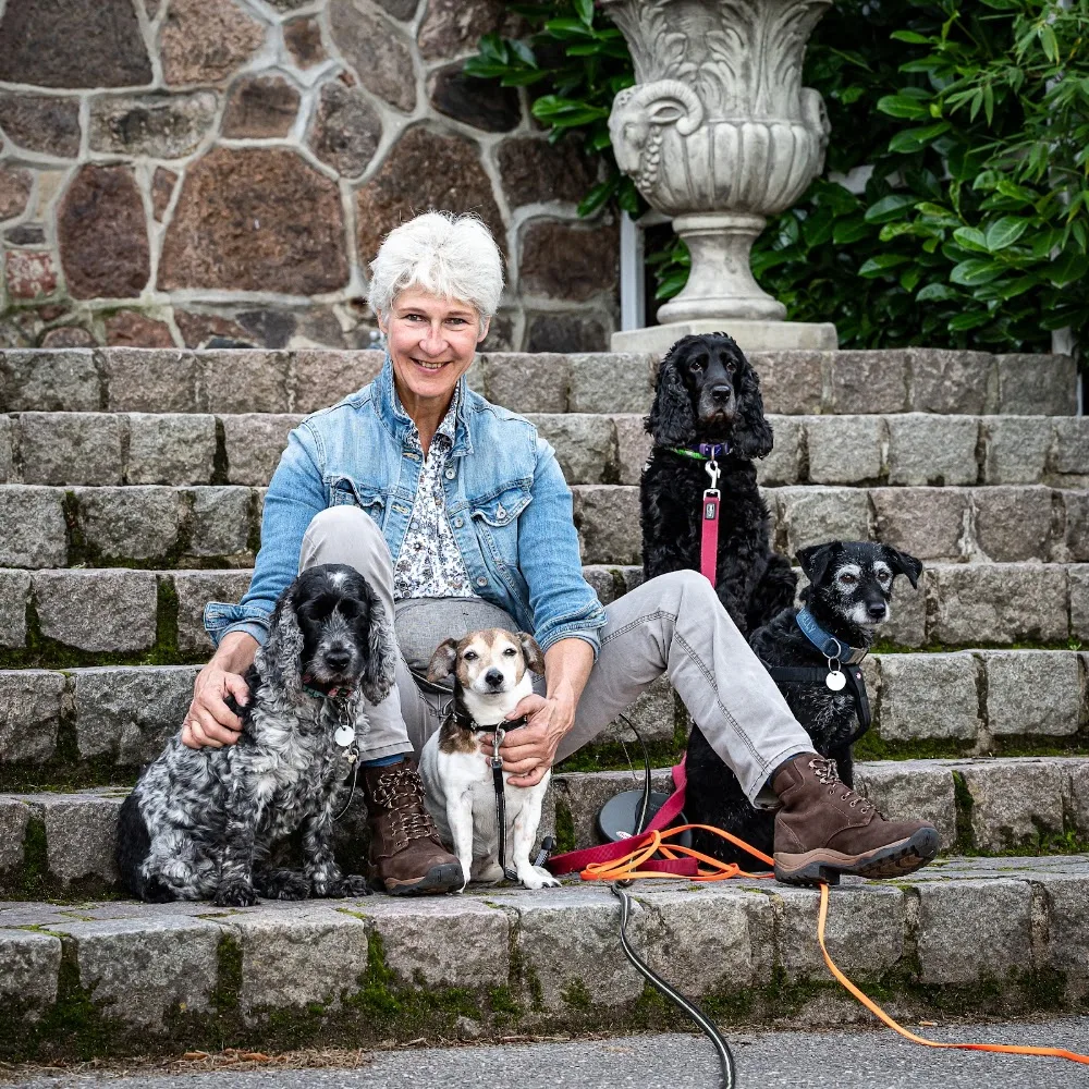 Hundepension Sachsenwald - Urlaubsbetreuung für kleine Hunde - Hohenfelde pet otel görseli 3