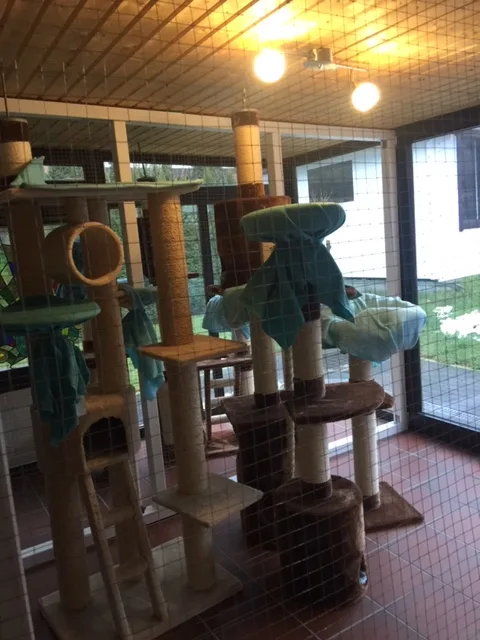 Katzenpension Harsefeld Fam. Tamke - Hohenfelde pet otel