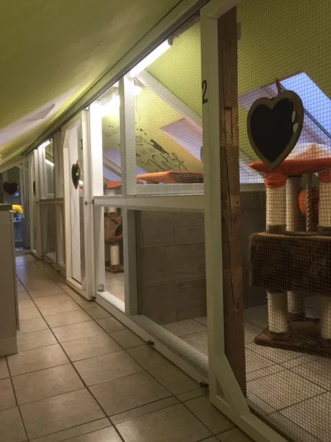 Katzenpension Harsefeld Fam. Tamke - Hohenfelde pet otel görseli 3