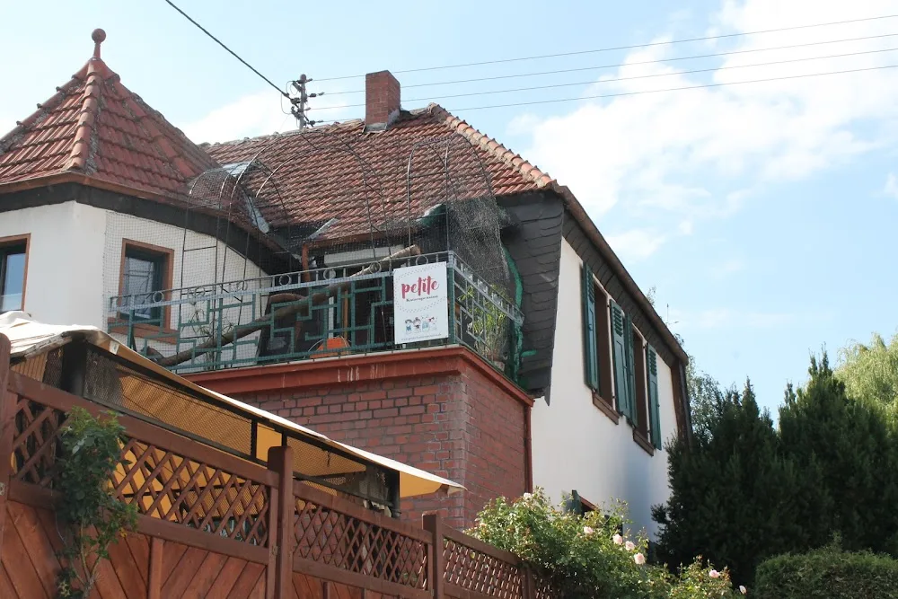petite Katzenpension - Hohenfelde pet otel