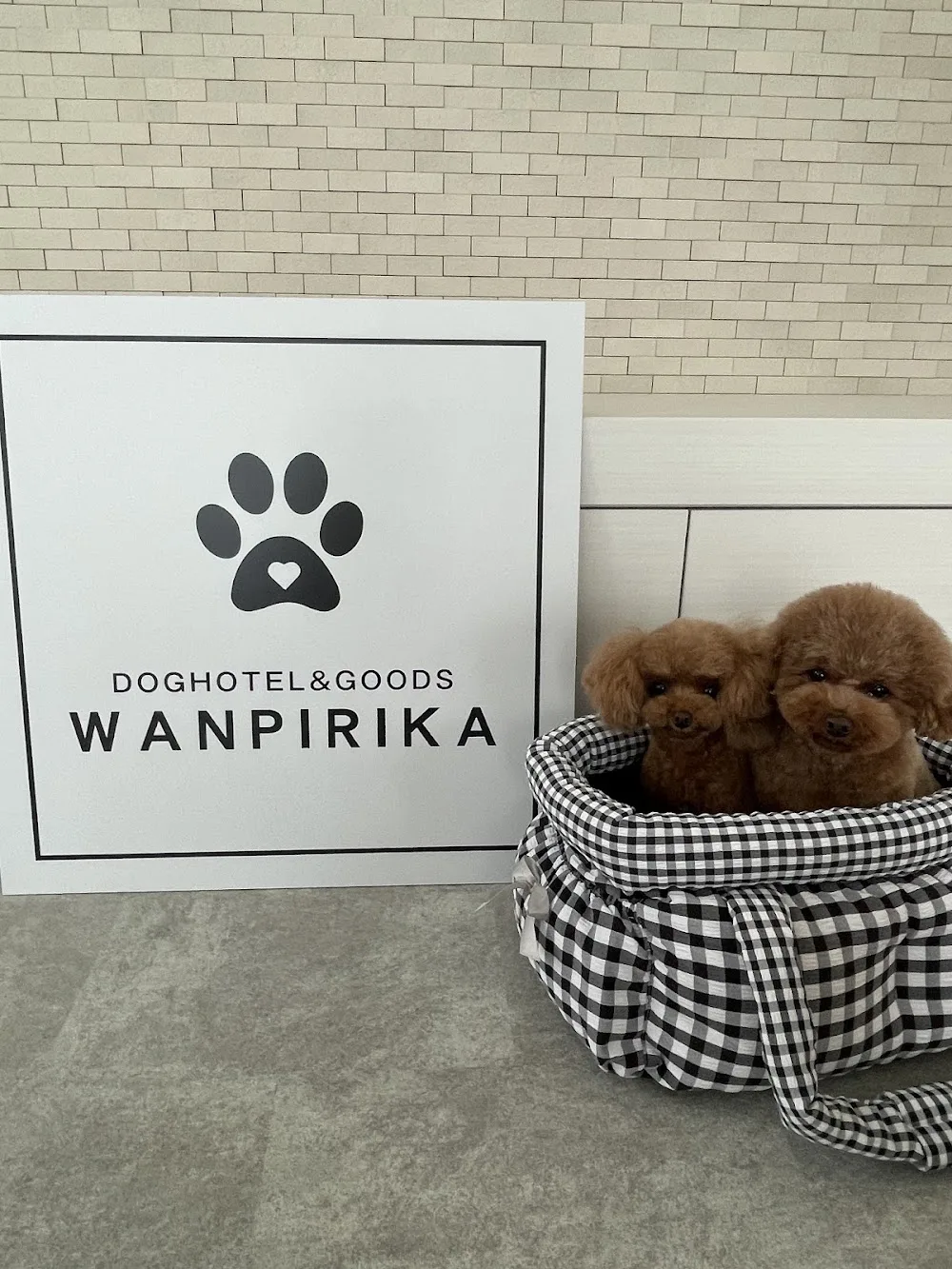 WANPIRIKA DOGHOTEL&GOODS - Hokkaidō pet otel görseli 3