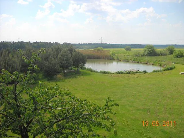 Hotel dla psów i kotów Psia Kość - Holy Cross pet otel görseli 3