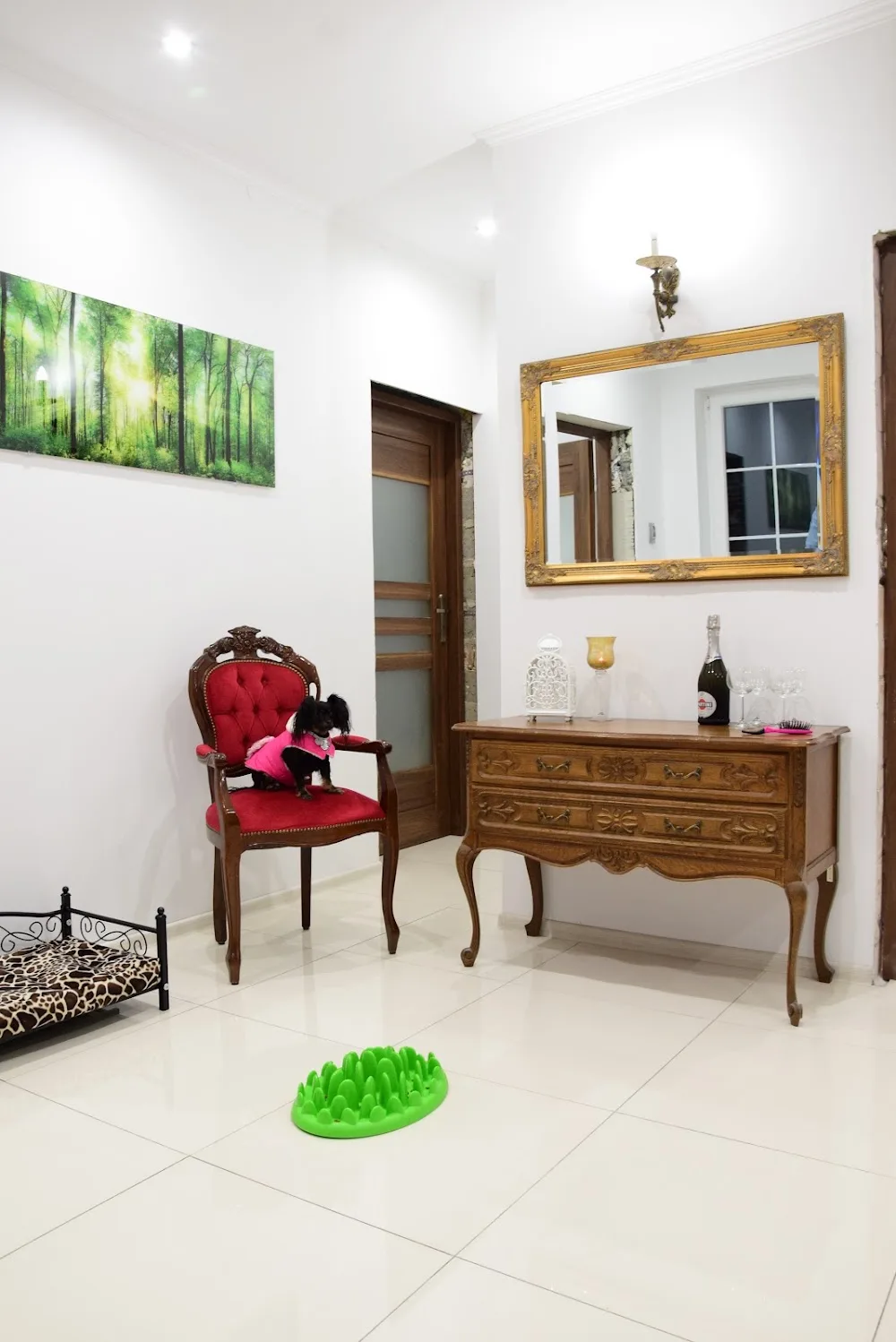 Hotel dla zwierząt Dog Hotel - Holy Cross pet otel görseli 2