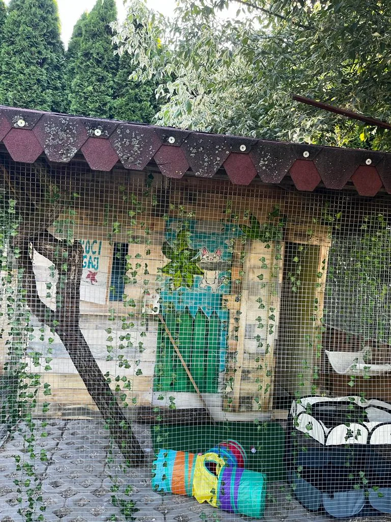 HOTEL DLA ZWIERZĄT "JAK W DOMU" - Holy Cross pet otel görseli 3