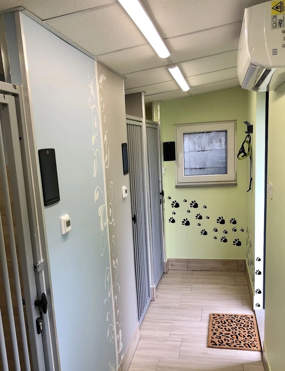 Hotel dla zwierząt Psia Forteca - Holy Cross pet otel görseli 3
