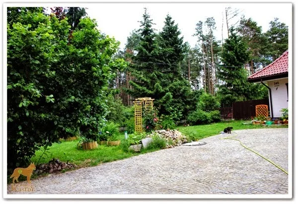 Norka. Hotel dla zwierząt - Holy Cross pet otel görseli 2