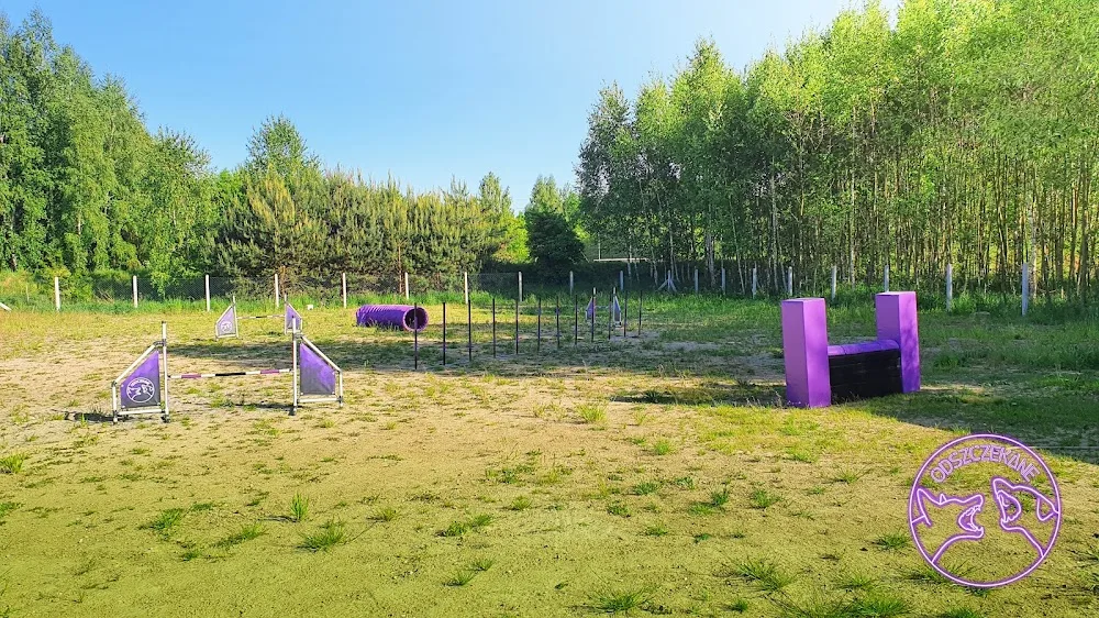 Odszczekane - Szkolenie psów - Behawiorysta - Hotel dla zwierząt - Holy Cross pet otel görseli 2