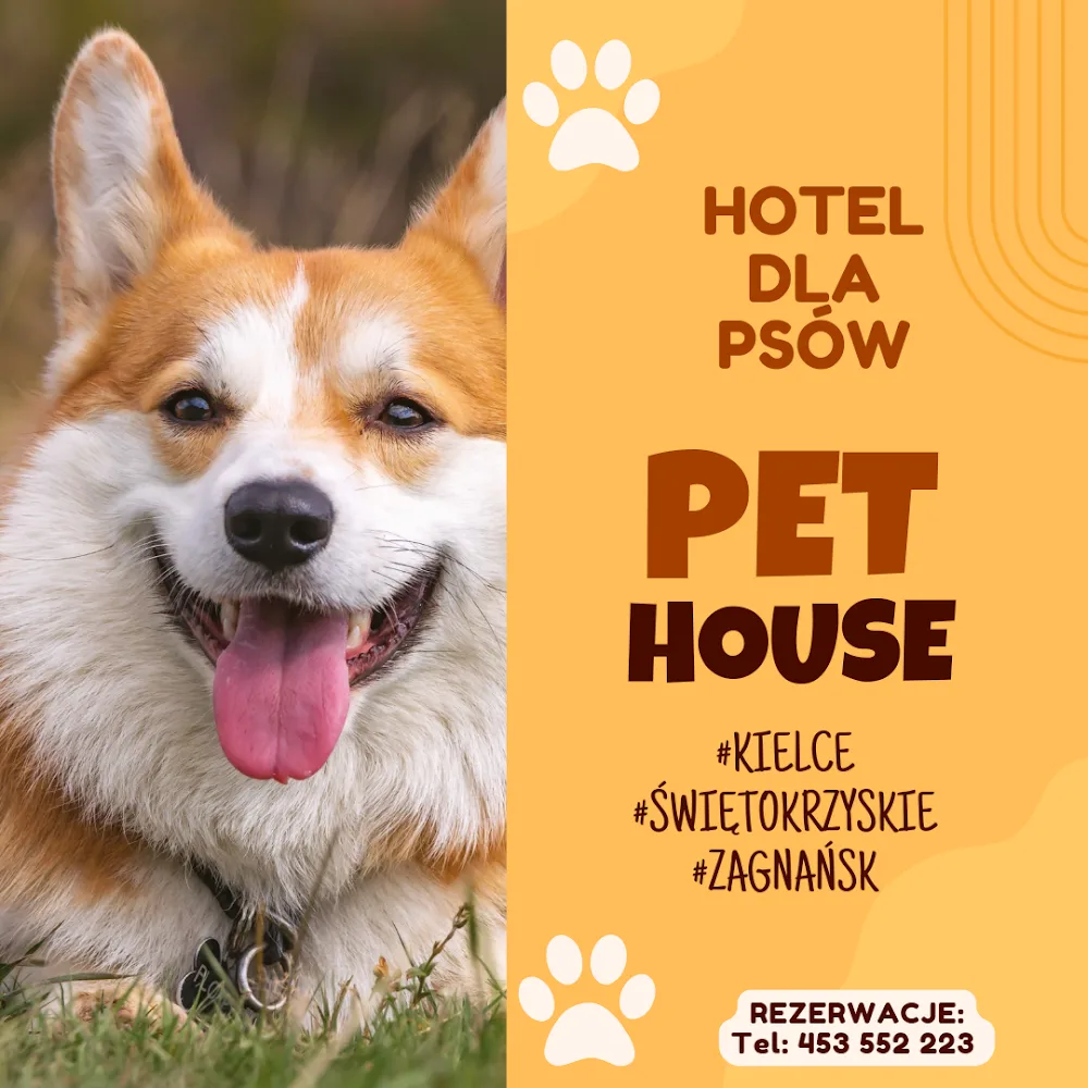 Pet House Hotel & Spa Kielce - Hotel dla psów - Holy Cross pet otel görseli 2