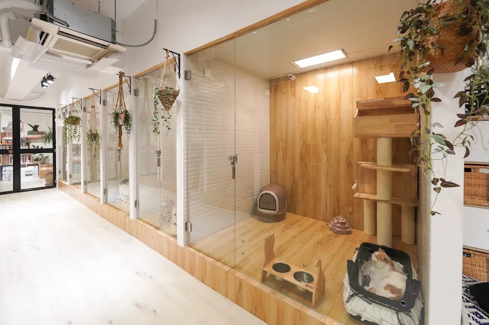 Cat Inn HK 猫回家 - Hong Kong SAR pet otel