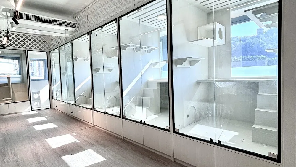貓窩酒店 Catnap Cat Hotel - Hong Kong SAR pet otel görseli 2