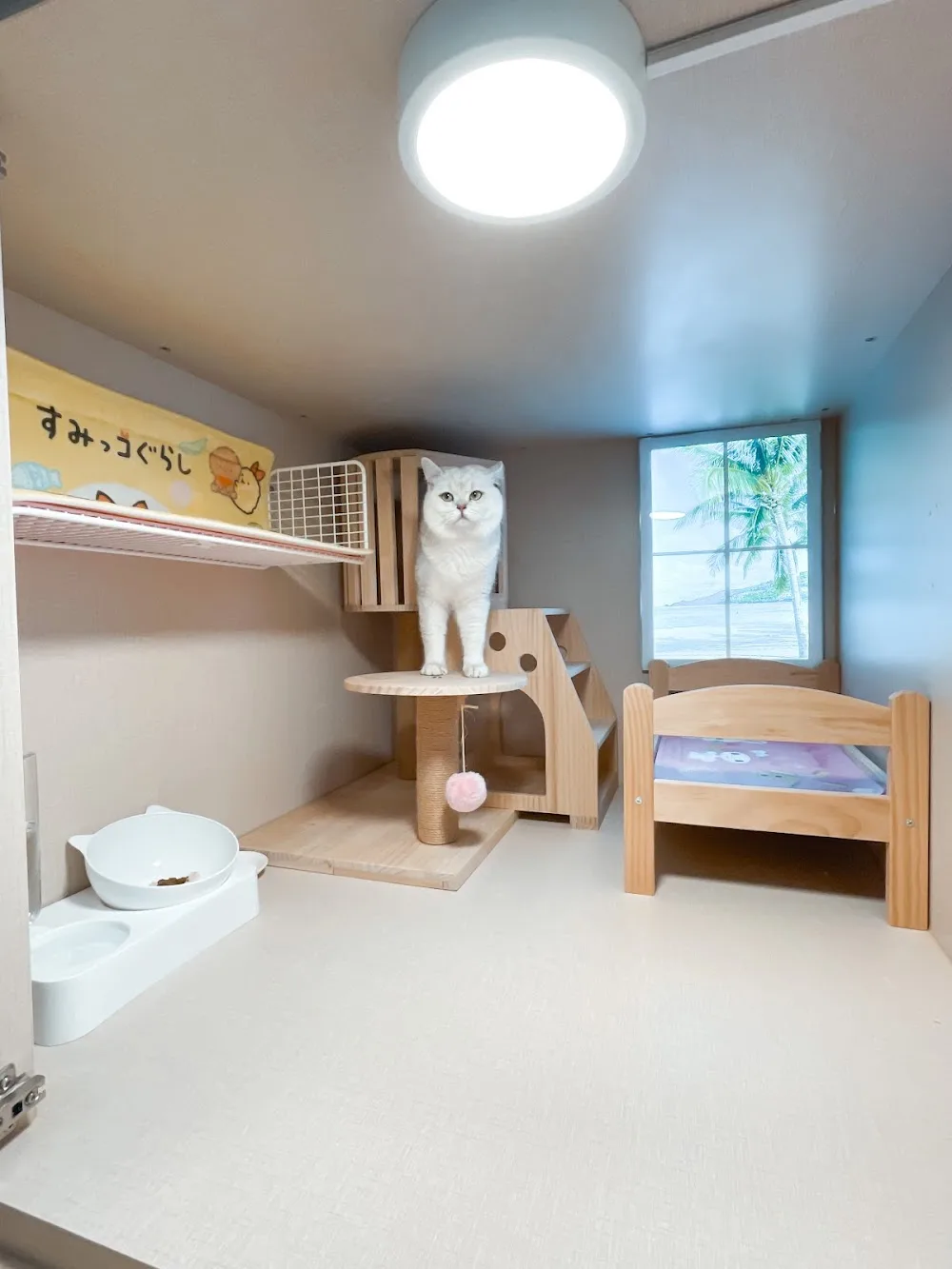 貓悅酒店 Catstar Cat Hotel - Hong Kong SAR pet otel görseli 2