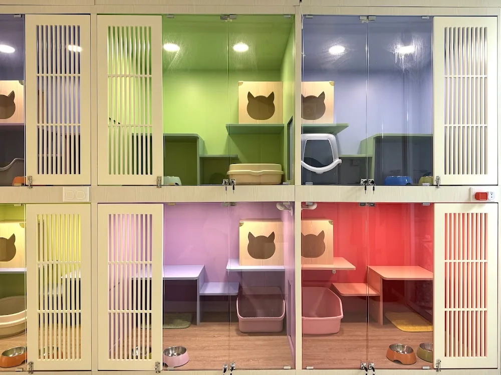 家家貓全貓酒店 KaKa Cat Hotel - Hong Kong SAR pet otel görseli 3