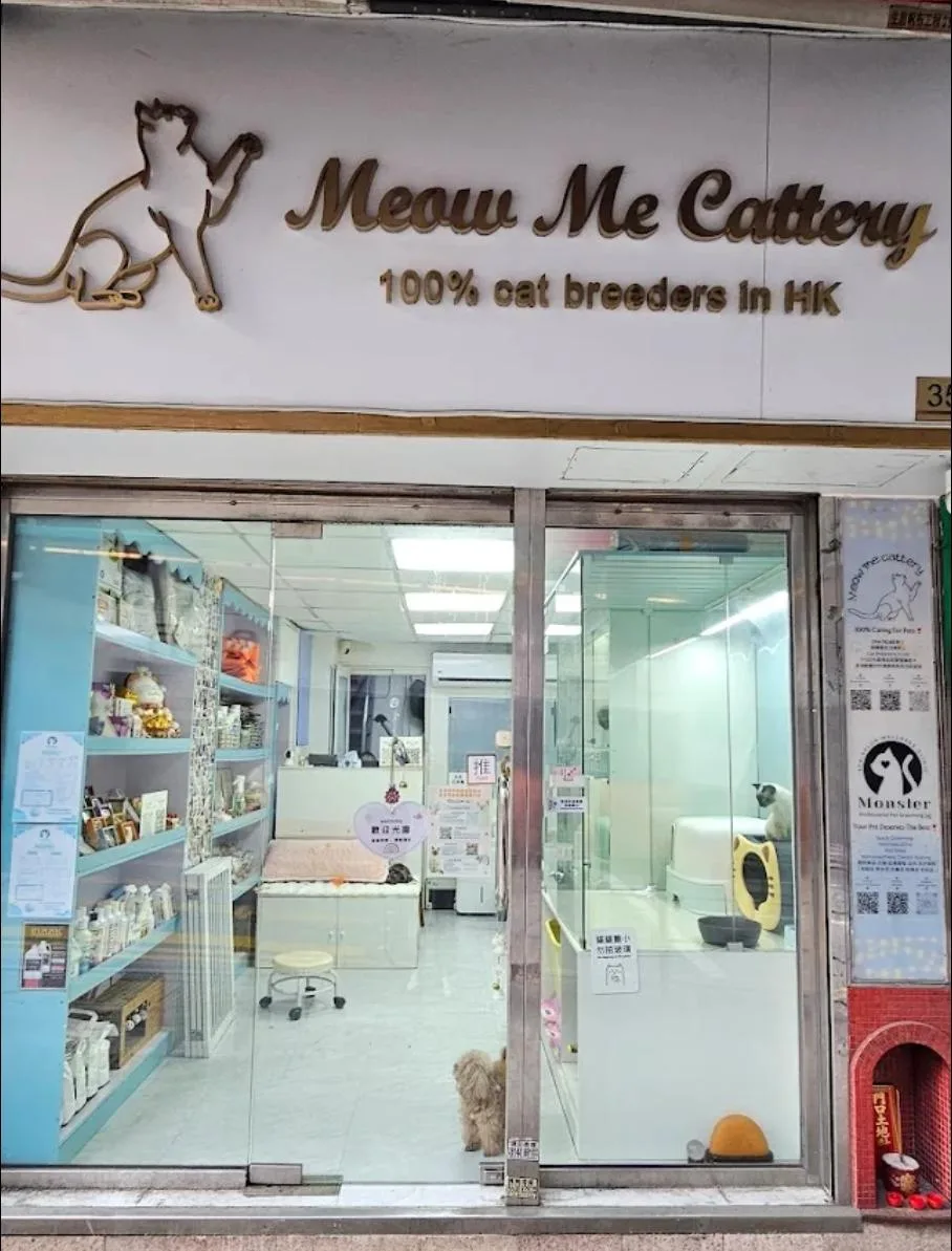 Meow me cattery - Hong Kong SAR pet otel