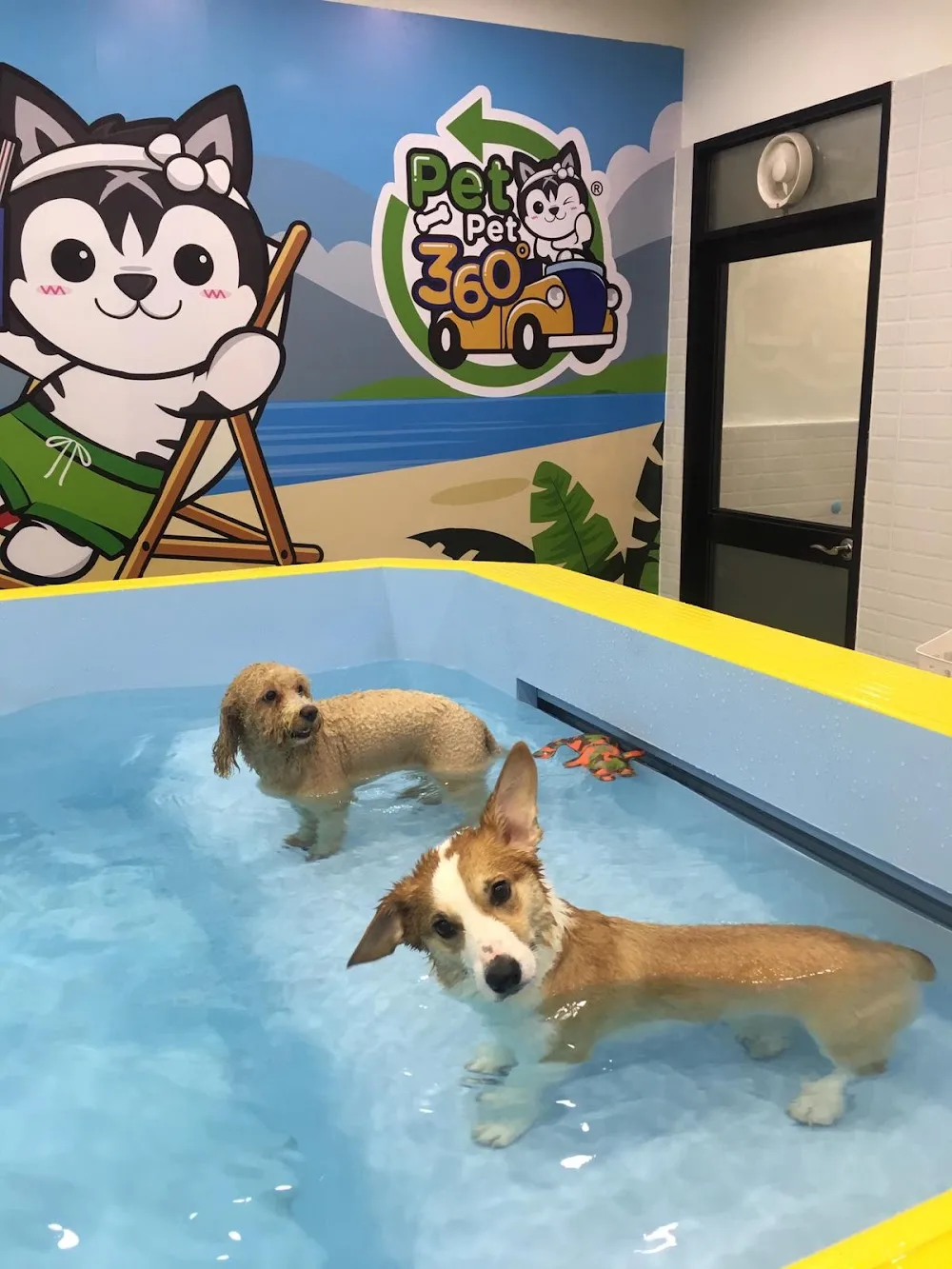 PetPet360 Pets Hotel 旺角店(田園寵物酒店) - Hong Kong SAR pet otel görseli 3